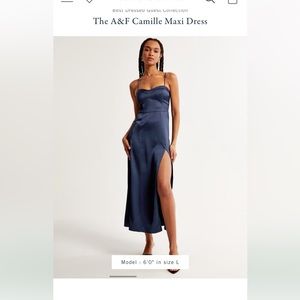Abercrombie Camille Maxi Dress